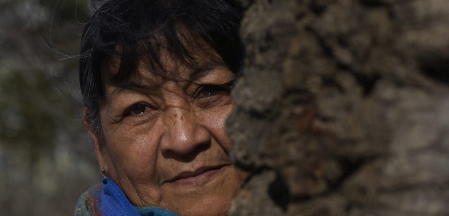 13C celebra el día de los pueblos originarios estrenando “Pewen”