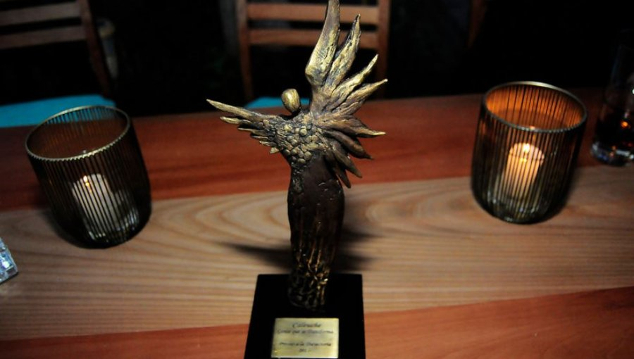 El balance de los canales post nominaciones a los Caleuche: Mega domina en telenovelas y TVN en series