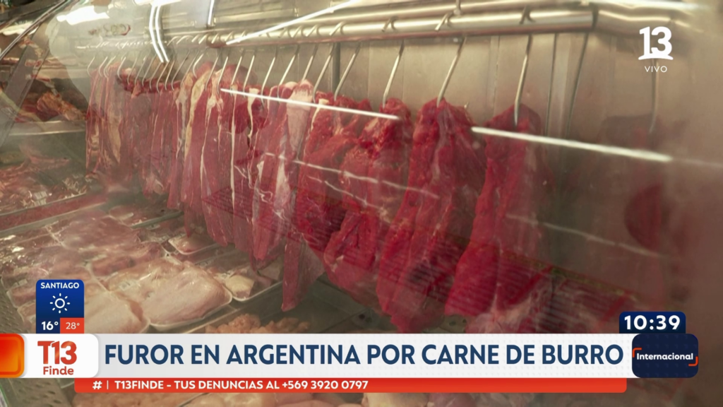 Carne de burro
